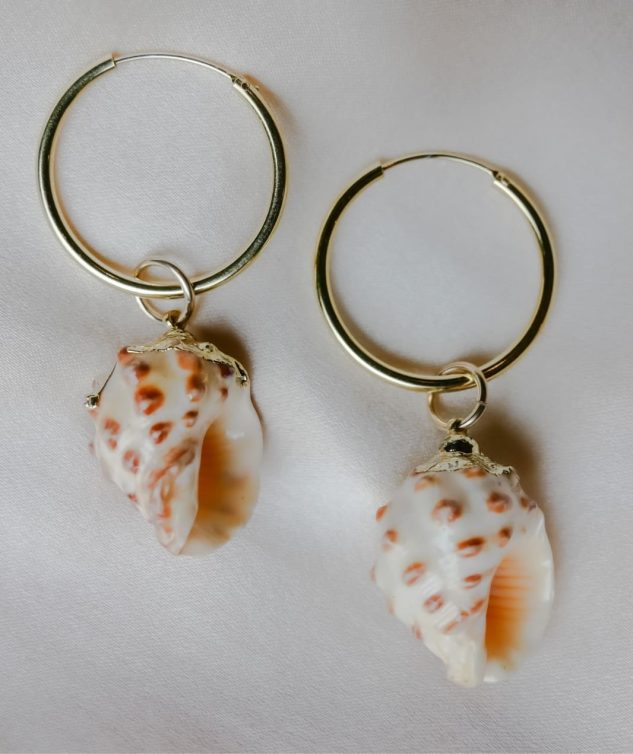 2-seashell-in-love-kristin-nrjwhFB2kKY-unsplash